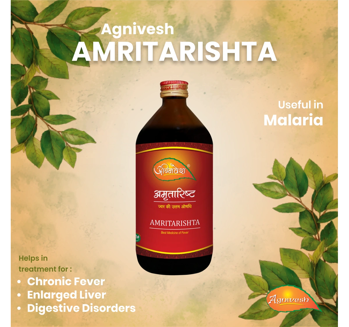 AGNIVESH AMRITARISTHA