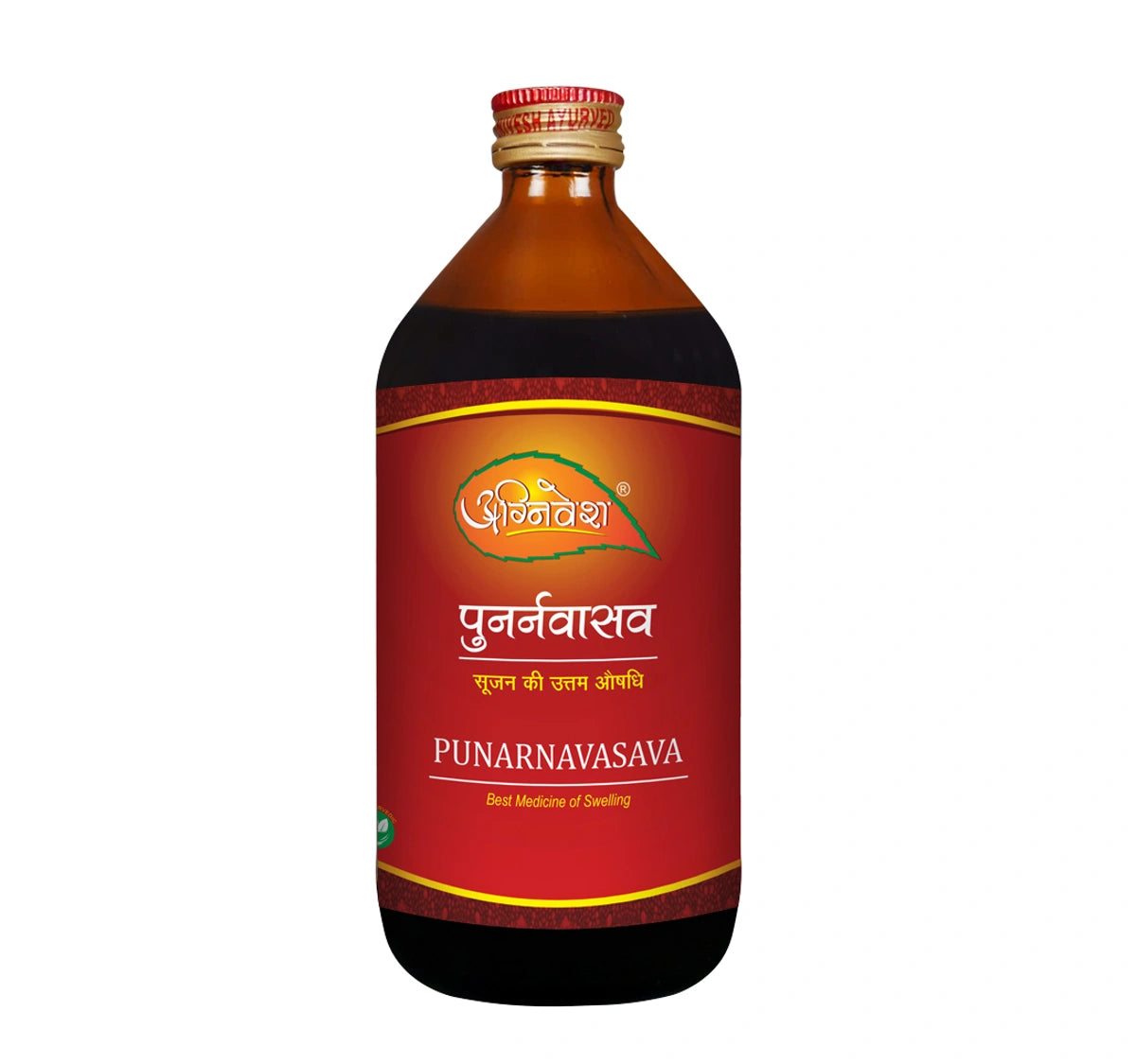 AGNIVESH PUNARNAVASAVA