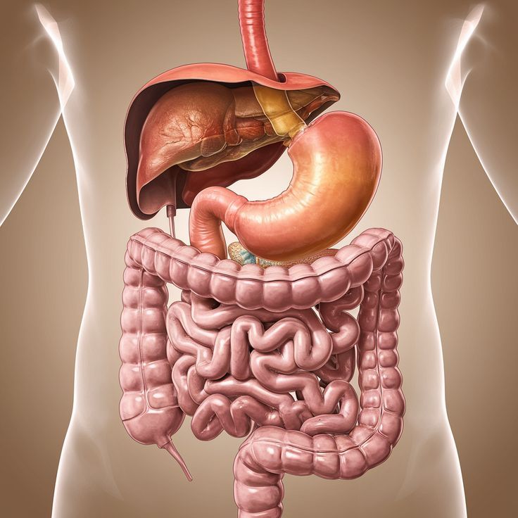 Common Digestive Problems & How Digecare Helps in Fast Relief